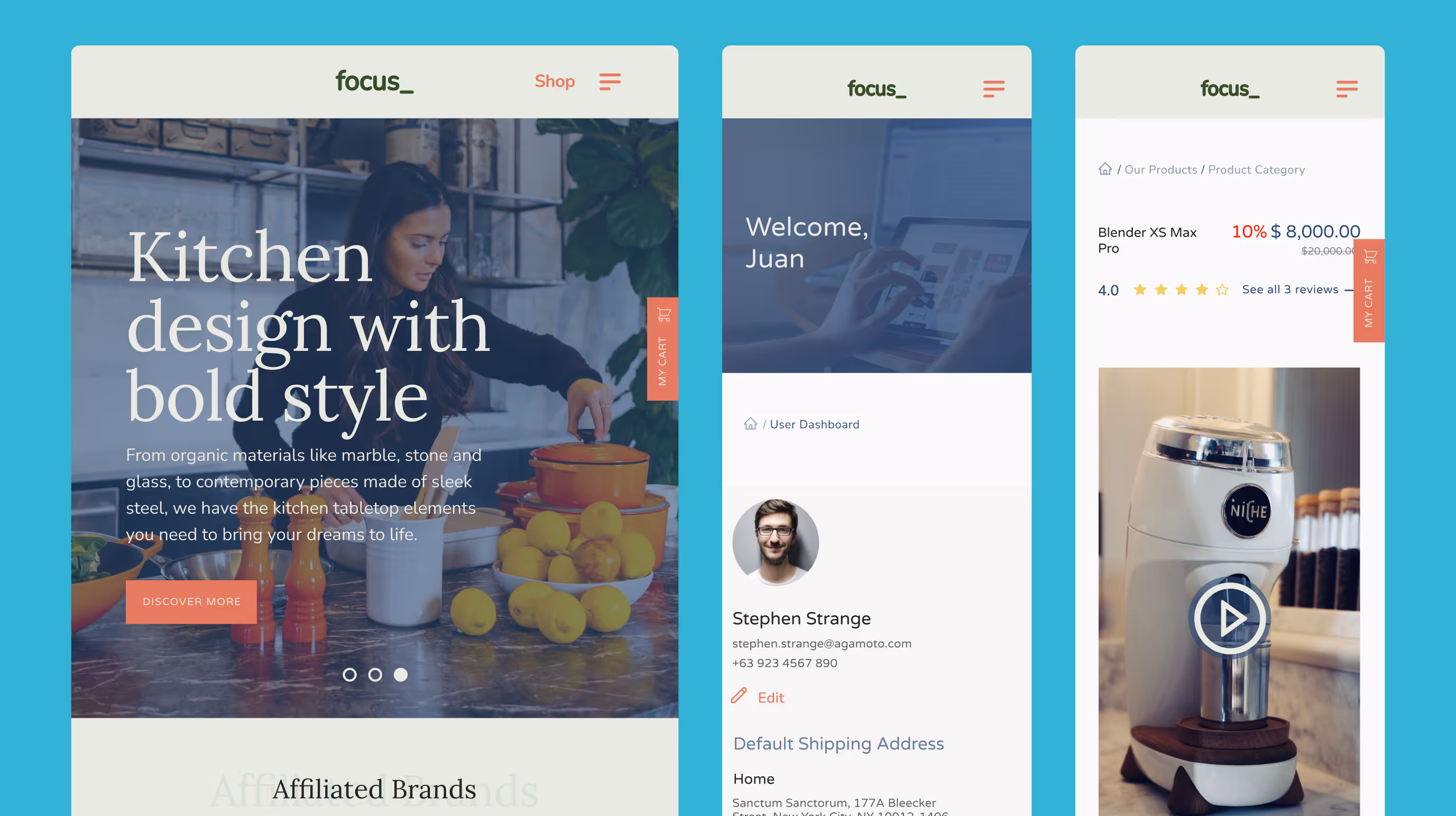 Focus Global: Enabling E-Commerce for a Global Brand screenshot 1